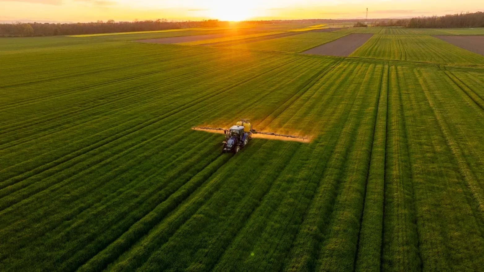 forbes-getty-farmland-photo