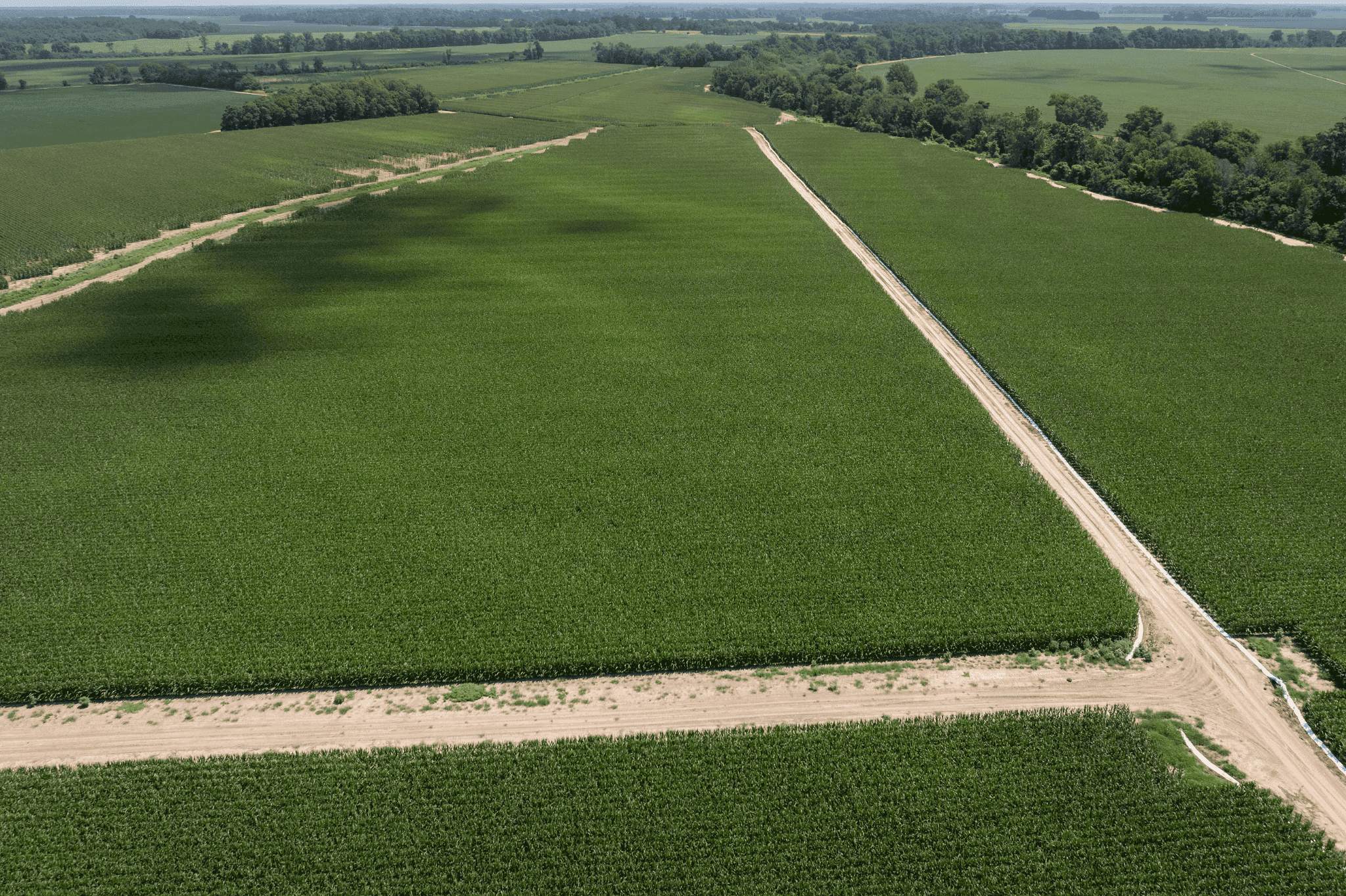 Farm Overview Photo