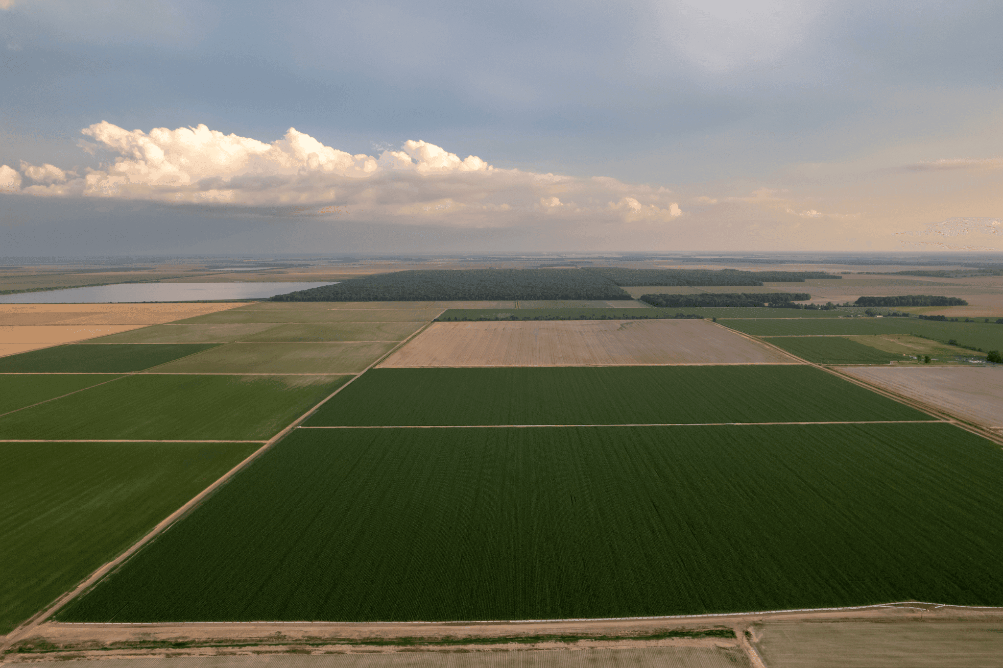 Farm Overview