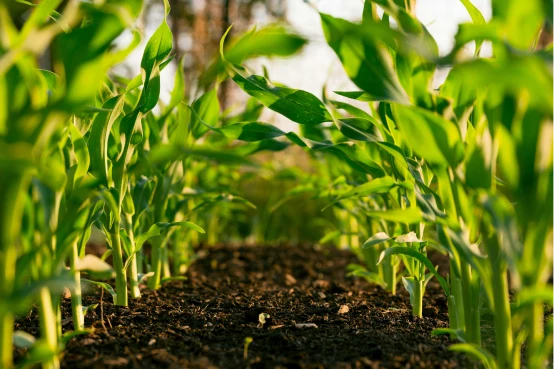 LANDFUND Farming Stewardship