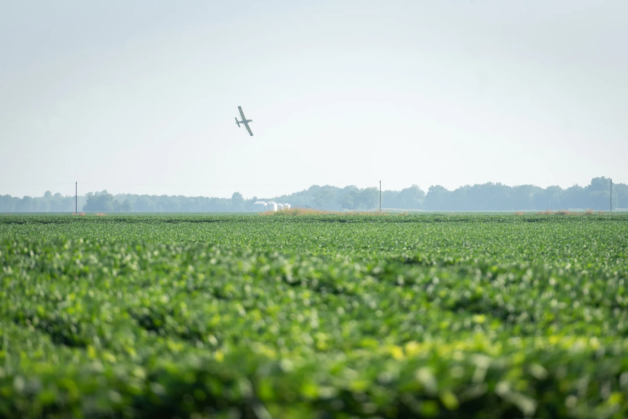 Row-crop farmland targeted for LandFund Opportunity Zone Fund II