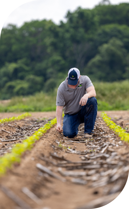 Invest in farmland with regenerative agriculture practices for long-term sustainability